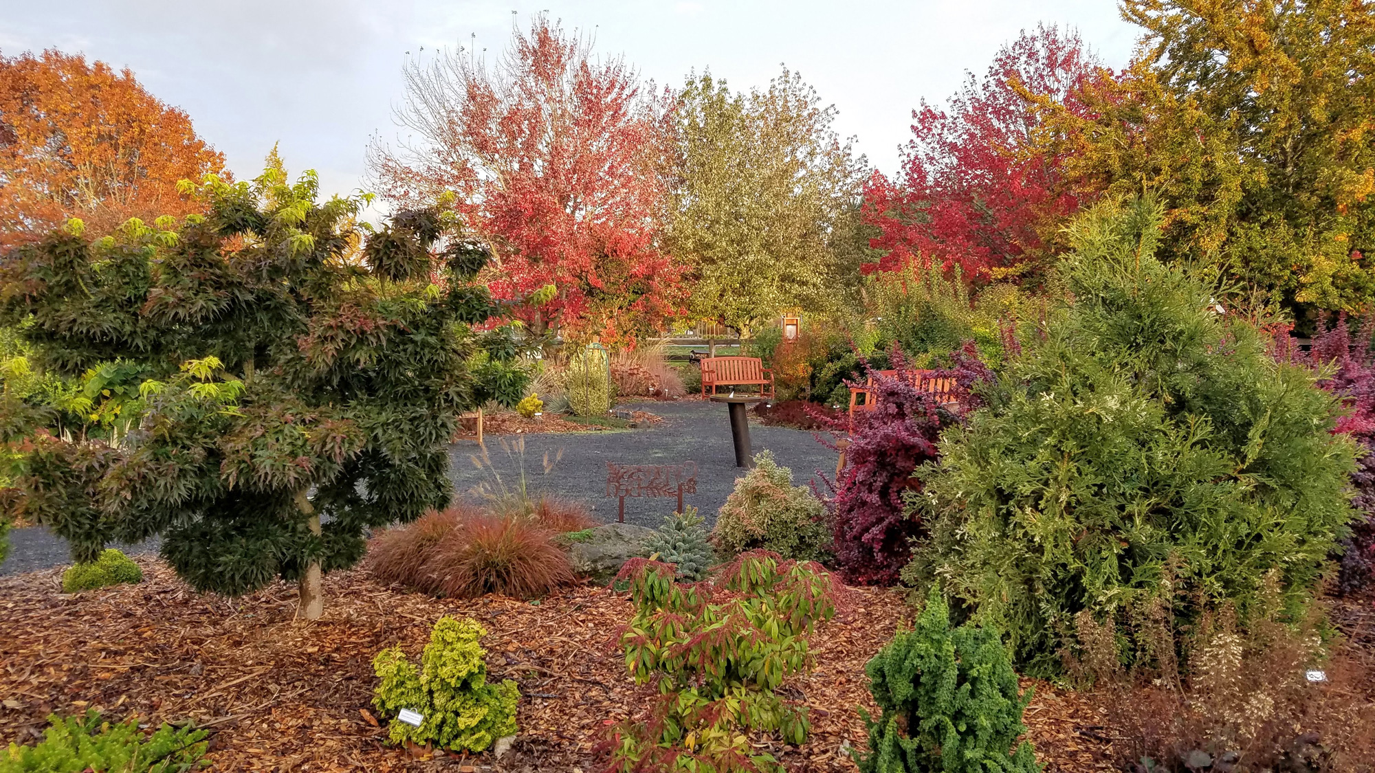 Community Circle Garden showing fall colors; Education Garden at PCC Rock Creek.