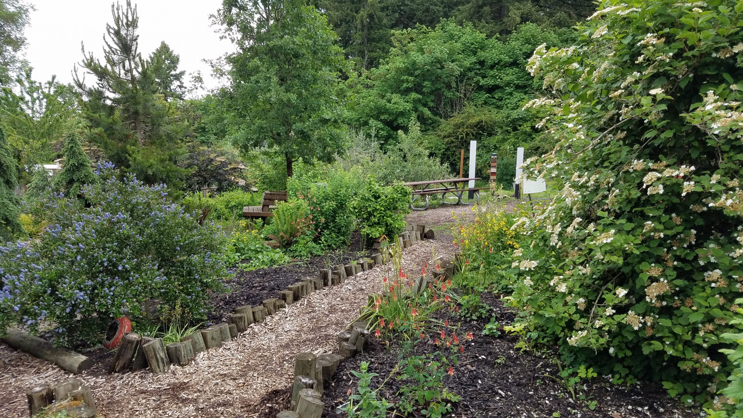 Native Plants Garden