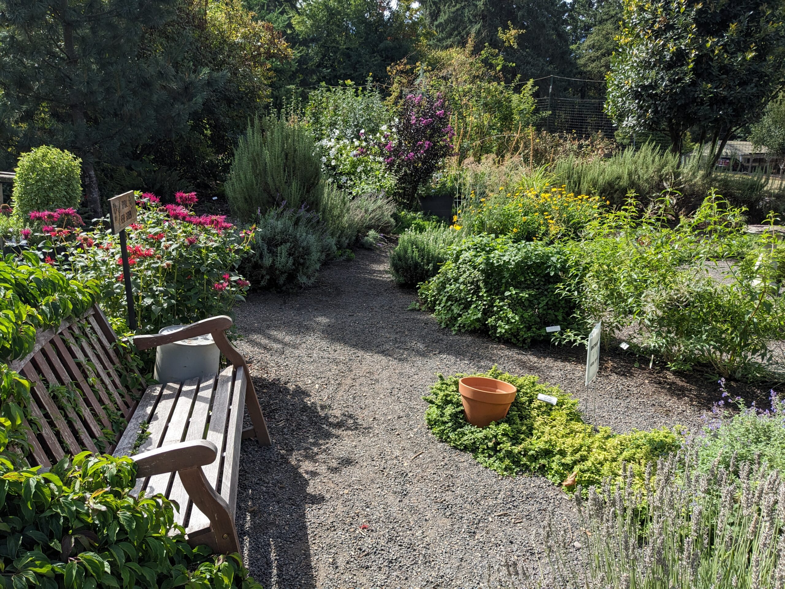 Learning Garden Herb Garden