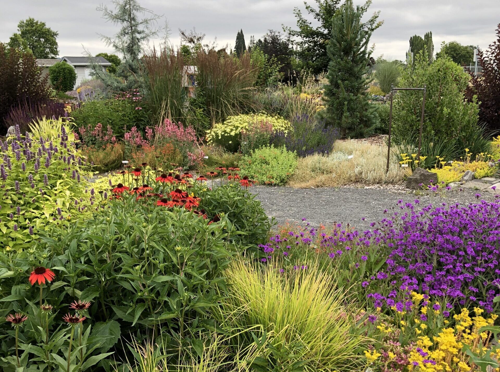 a typical scene of waterwise plants in the WCMGA Education Garden at PCC Rock Creek