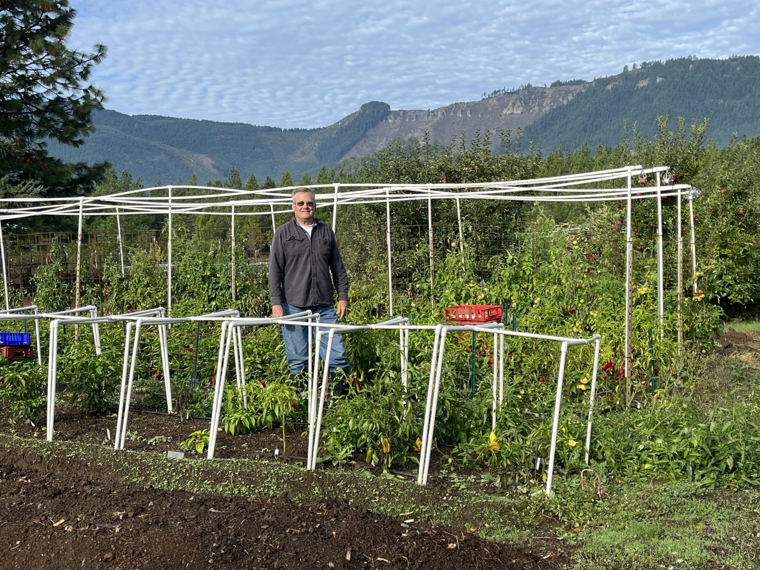 Bruce Gravens in his garden