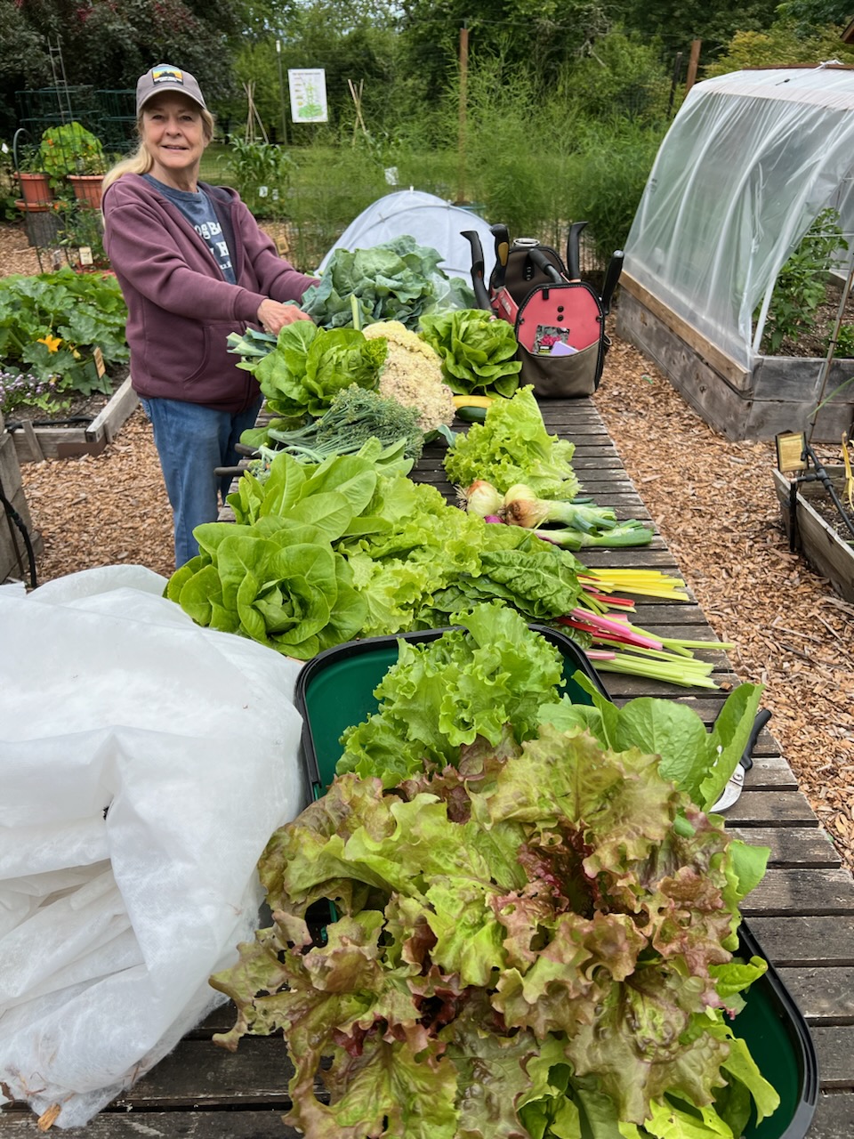 Master Gardener shown with 2024 vegetable harvest