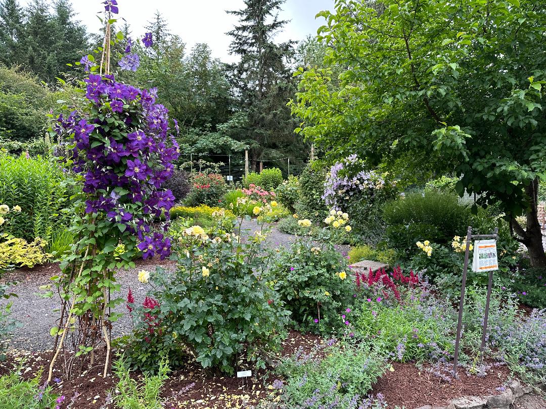 seasons of beauty igs class